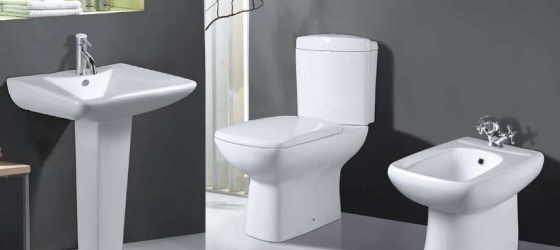 toilet basin and bidet