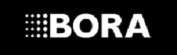 bora logo